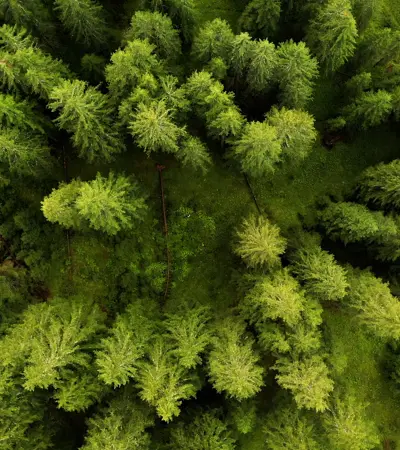 Biobased en bio-degradable kunststoffen